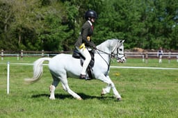 M19_0397 2026