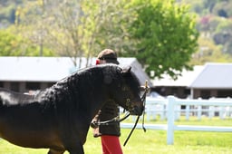 S19_8023 2026