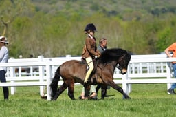 H19_0698 2026