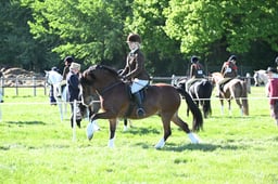 S19_8682 2026