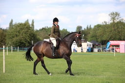 W36_2523 2026