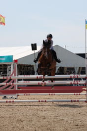 Tortellini