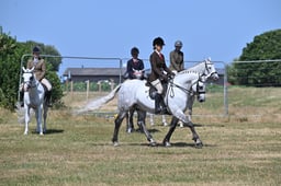 S60_0580 2026