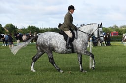 E36_0468 2026