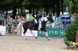 568 HOYS WHP 153cm