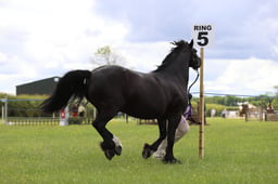 J36_6071 2026