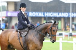 HOYS Ladies Side Saddle