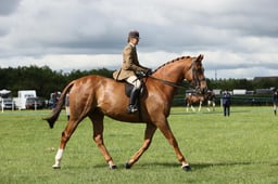 E36_0679 2026