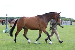 J36_6960 2026