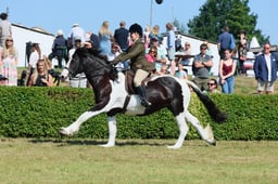 S61_0853 2026