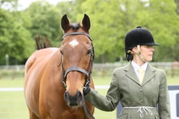 E28_0302 2026