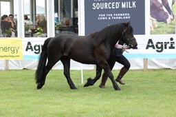 M44_0559 2026
