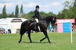H36_8527 2026