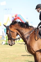 U60_0166 2026