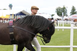 M44_0159 2026