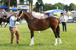 E69_0920 2026