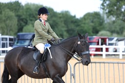 124D Ridden Veteran Championship