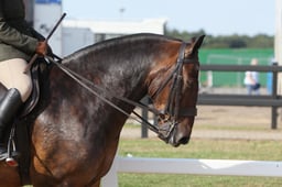 110B Heavyweight Cob