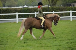 47 M&M Pretty Polly First Ridden