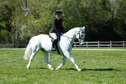 M19_0789 2026