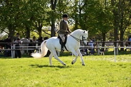 S19_8489 2026