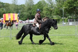 C33_1471 2026