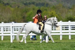 H19_0690 2026