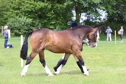 J36_6761 2026
