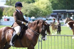 123 RIHS M&M Amateur Ridden