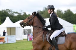 Senior Foxhunter