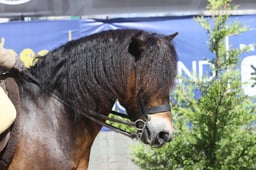 E47_1740 2026