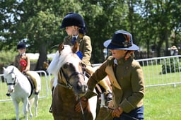 H249 SFAS MINI CHAMPIONSHIP