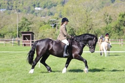 C19_0863 2026