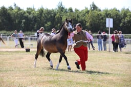 H60_0330 2026