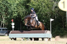 C56_2179 2026