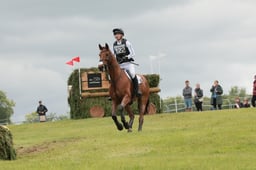 E39_3830 2026