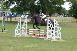 320 LLANTHONY HOLTZ ASHE