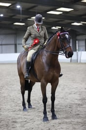 CL60 RIHS Small Riding Horse