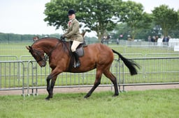 21 HOYS Small Hunter