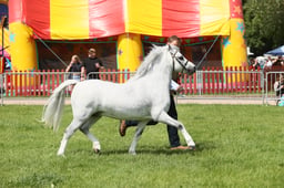 E34_1584 2026