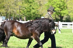 S19_7675 2026