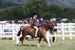 E42_1080 2026