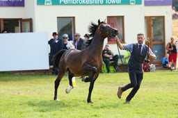 E69_1084 2026