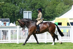 F34_1730 2026