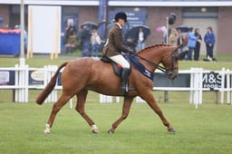 Ridden Hunter Championship