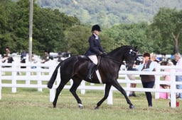 E43_0563 2026