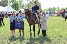 138-136 Novice Show Pony Championship