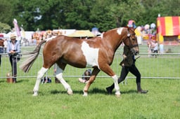 C33_0903 2026