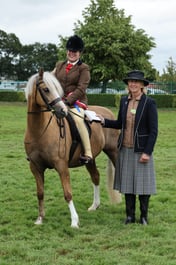 M&M Ridden Small Breeds Championship