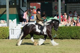 S61_0399 2026